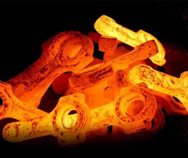 Metal Forging Application