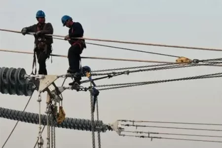 An in-depth exploration of Wire Grip: design, applications and future development