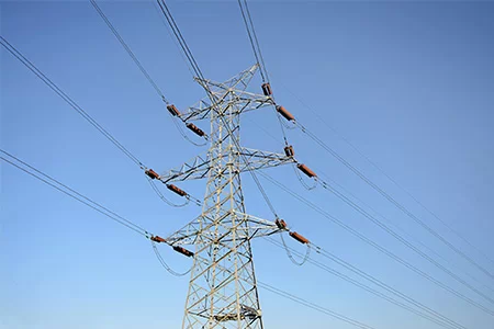 What are the models of wire grip and their different usage scenarios?